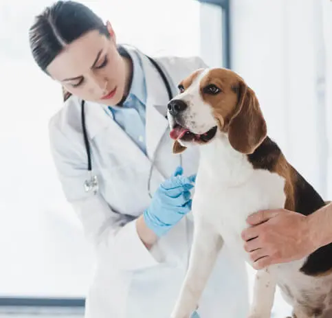 Yunusemre Veteriner Kliniği - Veteriner Hekim